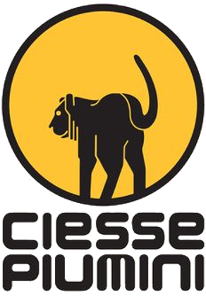 Picture for manufacturer Ciesse
