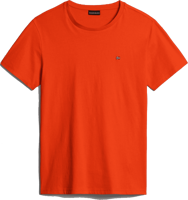 Picture of T-SHIRT A MANICA CORTA DA UOMO NAPAPIJRI SALIS SUM RED CHERRY R05 NP0A4H8D R05