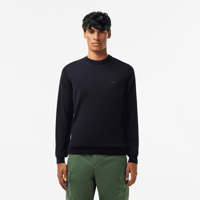 Picture of MAGLIONE DA UOMO LACOSTE PULLOVER AH1969 166