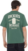 Picture of T-SHIRT A MANICA CORTA DA UOMO DICKIES ELLISTON DARK FOREST DK0A4YRM H15