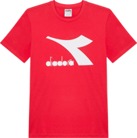 Picture of T-SHIRT A MANICA CORTA DA UOMO DIADORA CORE 102.179759 45012