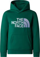Immagine di FELPA DA TREKKING JUNIOR THE NORTH FACE DREPEAK P/O NF0A89HH NL1