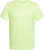 Picture of T-SHIRT A MANICA CORTA DA RUNNING DA UOMO DIADORA RUN SHADOW LIME 102.180177 70329