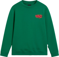 Picture of FELPA JUNIOR VANS B TAGGED CREW VN000K9G J5F