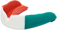 Immagine di PARADENTI TITAN PD520 08