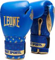 Immagine di GUANTI DA BOXE DNA GN220 02