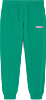 Picture of PANTALONE DA TUTA DA UOMO DIADORA ATHL. LOGO 502.181689 70482