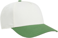 Immagine di CAPPELLO VANS DATA SYSTEM STRAPBACK VN000HSC BR1