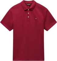 Picture of POLO DA UOMO NAPAPIJRI EALIS SS SUM NP0A4H8B R1E