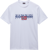Picture of T-SHIRT A MANICA CORTA DA UOMO NAPAPIJRI S-AYLMER NP0A4HTO 002