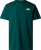 Immagine di T-SHIRT A MANICA CORTA DA UOMO THE NORTH FACE BOX NSE CELEBRATION NF0A87NV 6GI