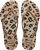 Picture of INFRADITO HAVAIANAS SLIM ANIMALS 4103352 6516