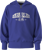 Immagine di FELPA JUNIOR NAPAPIJRI B-INOT FZH NP0A891E B3B