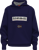 Immagine di FELPA JUNIOR NAPAPIJRI BURGEE W 3 NP0A4I6T 176