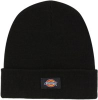 Immagine di BERRETTO DA UOMO DICKIES GIBSLAND DK0A4X7K BLK