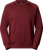 Immagine di FELPA DA UOMO THE NORTH FACE RAGLABOX NSE CREW NF0A89FA DO3