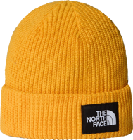 Immagine di BERRETTO UNISEX THE NORTH FACE SALTY LINED NF0A8CGZ 56P
