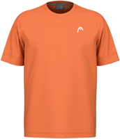 Picture of T-SHIRT DA TENNIS DA UOMO HEAD SLICE II 816255 CN