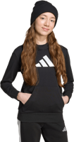 Picture of FELPA JUNIOR ADIDAS JV5267