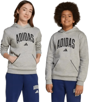 Picture of FELPA UNISEX JUNIOR ADIDAS JV7336