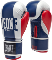 Picture of GUANTI DA BOXE UNISEX LEONE COLOR BLOCK GN334 02-BLU