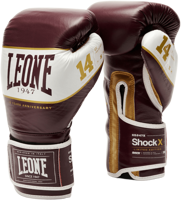 Picture of GUANTI DA BOXE LEONE SHOCK X GN047X 15 BORDLEG