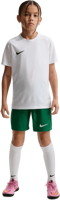 Picture of T-SHIRT A MANICA CORTA DA CALCIO JUNIOR NIKE PARK VIII HV8182 100