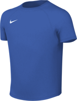 Picture of T-SHIRT A MANICA CORTA DA CALCIO JUNIOR NIKE PARK VIII HV8182 463