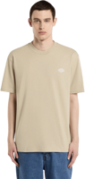 Picture of T-SHIRT A MANICA CORTA DA UOMO DICKIES SUMMERDALE DK0A4YAI L44